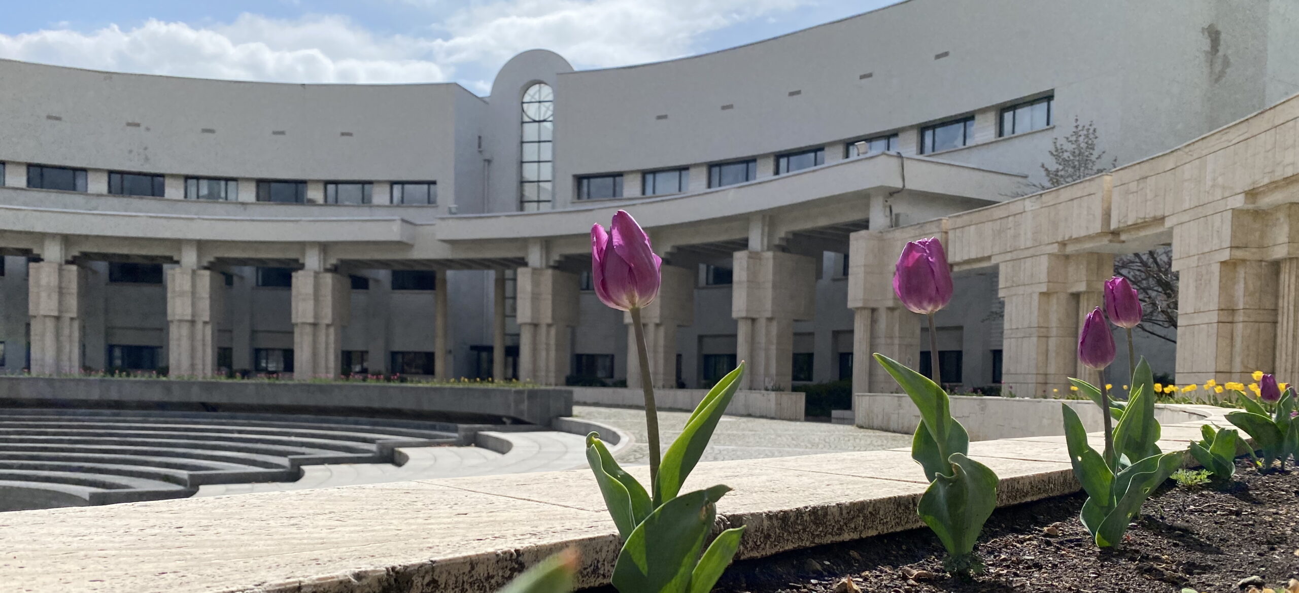 Bilkent University, Department of Physics Faculty Positions for 2025